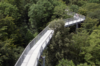 Baumkronenpfad Hainich