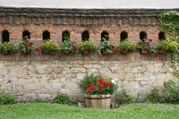 Mauer Naumburg